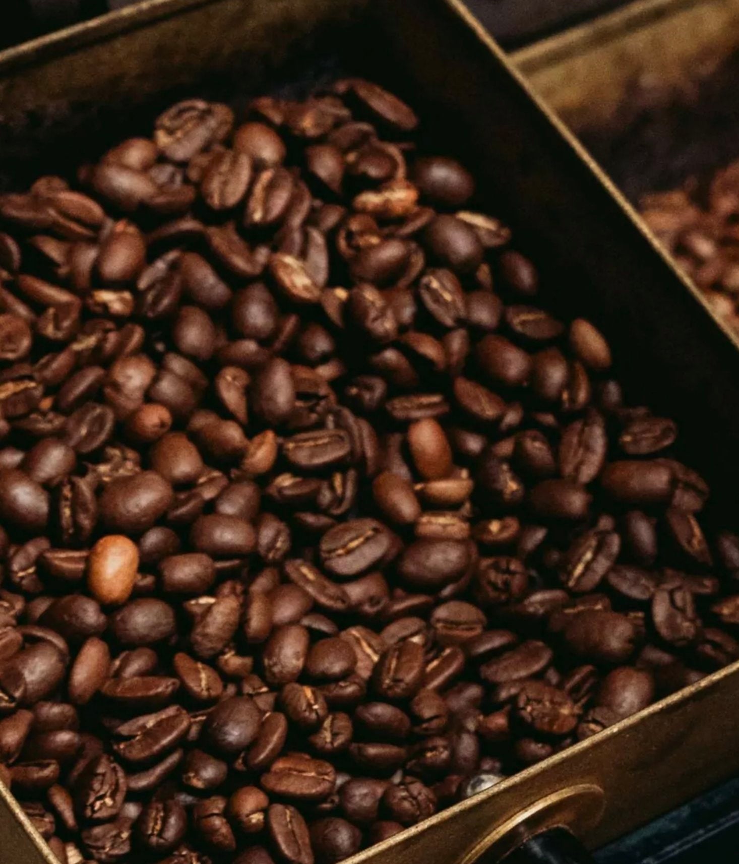 BARISTA PROFESSIONAL 1KG