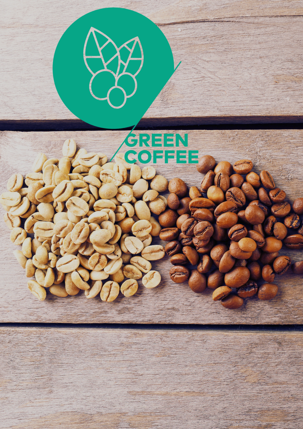 SCA GREEN COFFEE INTERMEDIATE CLASS