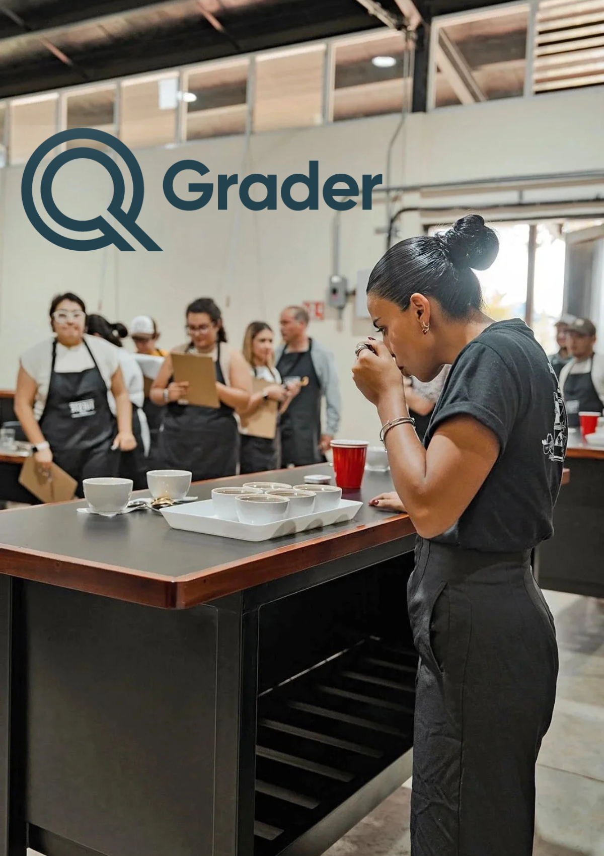 SCA Q GRADER PROGRAM