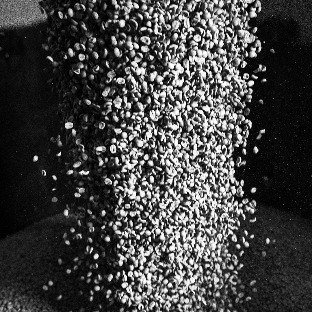 SCA BARISTA SKILLS FOUNDATION