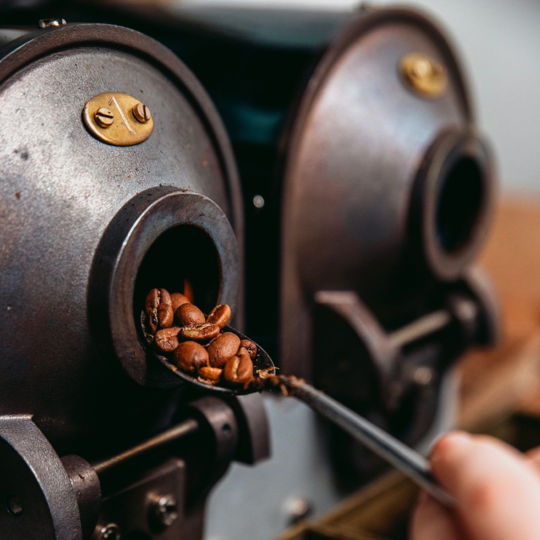 SCA Introduction to Coffee Class